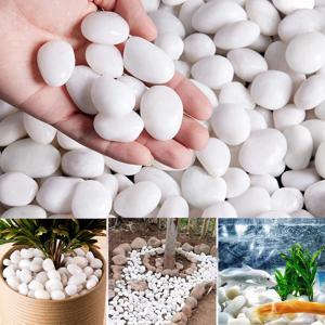 300/800g 2-3cm 천연 자갈 흰색 높은 광택 안뜰 풍경 장식 원예 냄비 물고기 탱크 장식 돌