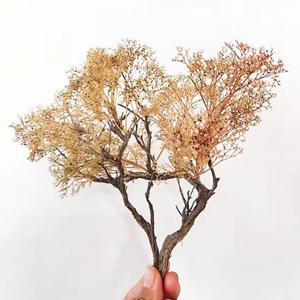 해초 이끼 나무 DIY 디오라마 모델 제작 액세서리 미니어처 숲 관목용 식물 재료