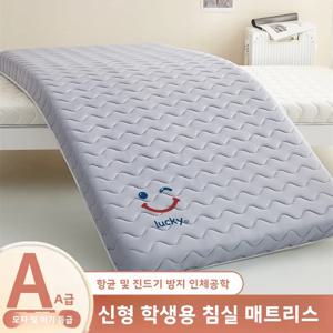 학생 기숙사 매트리스 싱글 다다미 소프트 패드 90x190 특수 퀼트형 침구 유니버설 가정용 매트리스 편안한 지지력