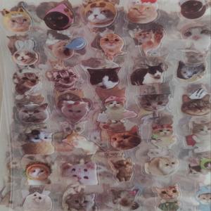 10PCS 고양이 레이저 스티커 만화 반투명 메모 애완 동물 반짝이 방수 재미 있은 편지지 귀여운 스크랩북 공예 용품