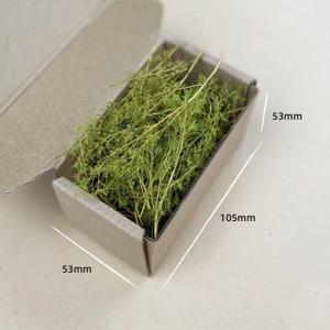 마른 잔디 모델 키트 Quinoa 식물 Diy 군사 모래 테이블 장면 재료 디오라마 HO 철도 풍경 레이아웃 모델 만들기