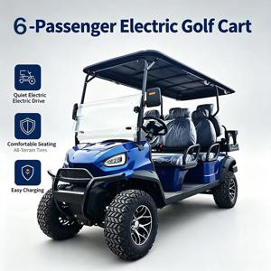 베스트셀러 고가치 전기 골프 카트/관광 차량: 48V, 60V 또는 72V 리튬 배터리 사용 가능