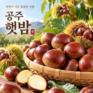 26년 공주 햇밤 2kg / 5kg | 달콤 고소한 국내산 제철 생밤