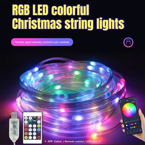 USB 크리스마스 무드등 LED 요정 커튼 스트링 램프 앱 컨트롤 (생일 파티 가랜드, 크리스마스 트리, 침실, 휴일 장식용)