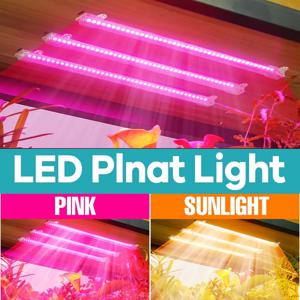 LED 식물 재배등 스트립 220V 풀 스펙트럼 수경재배 램프 바 식물 성장 보조등 꽃 다육식물 채소용
