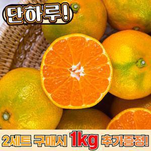제주직송 새콤달콤 햇 감귤 하우스감귤 대과 3kg(L~3L)