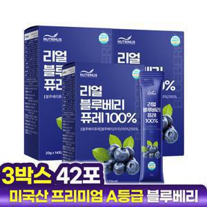 뉴트리너스 리얼 블루베리 퓨레 100% (20ml x 14포) 3박스