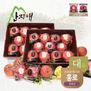 [TV상품]산지애 햇사과 6kg (3kg*2박스, 총 16~24과, 대과)