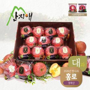 [TV상품]산지애 햇사과 3kg (8~12과, 대과)