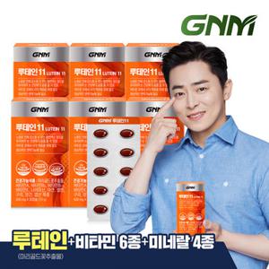 GNM 루테인11 6박스 / 눈건강 비타민B 아연 엽산