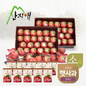 [2026 햇사과] 산지애 씻어나온 어린이 햇사과 4.5kg(20-27과)*2박스+실속사과주스 10팩