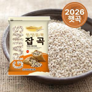 [2026년산] 국산 늘보리 500g