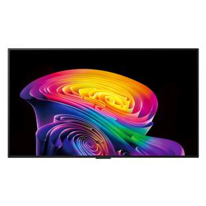 LG전자 120cm LG전자 올레드TV EVO OLED48C6KNA (스탠드형)