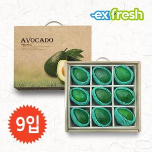 고품질 생 아보카도 선물세트 2.1kg(대과/9개입)