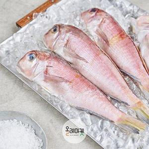 [올레마켓]제주 통옥돔 200g10미(총, 2kg)