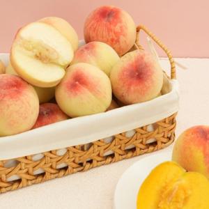 [자연품애 복숭아]제철맞은 털복숭아 2kg 랜덤과
