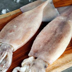 손질 오징어 500g 2팩