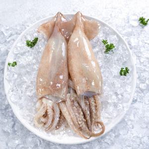 자연산 손질 통오징어 10미 총 2kg (400g x 5팩) 깨끗손질 간편조리