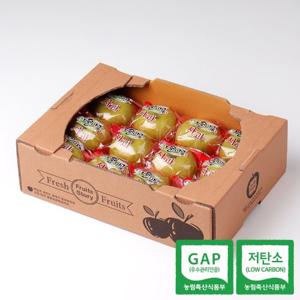 [이슬마루] GAP 저탄소 아오리 세척사과 3kg(16~21과)