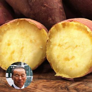[김의준고구마] 세척+햇 황금 꿀고구마 3kg 로얄 대 (개당 250-300g)