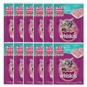 반려묘사료 반려묘 습식 사료 주니어 참치 80g 12P 주식 파우치
