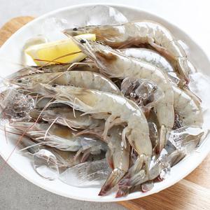 26년 햇 생물 새우 1kg 35-45미 / 국내산 흰다리새우