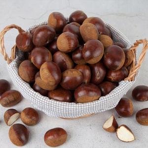 26년 수확 햇밤 알이 꽉 찬 고소한 경남 하동밤 생밤 대 사이즈 2kg