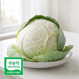 친환경 양배추 3kg (2-3개) 국내산 아삭아삭 속편한 매일이 가벼워지는 건강채소 양배추 DO