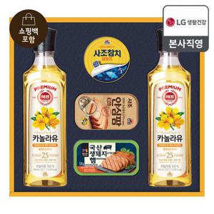 LG식품선물세트 프리미엄 햄복합 A호