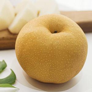 더으뜸 울산 산지직송 햇배 화산배 가정용 3kg(5~6과)