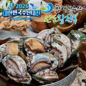 [추석기획][청해진] 완도활전복 왕특大사이즈 13미 (총 1.3kg 이상)