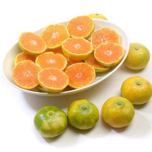 제주 하우스감귤 5kg 랜덤과(박스포함)