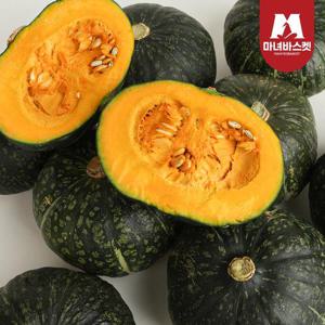 [마녀바스켓] 제주 미니 밤호박 보우짱 특품 5kg 로얄과 (7-15과)