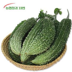 [농협청과33번] 국내산 유기농 생여주 7kg (특품)