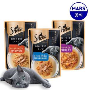 [공식] 쉬바 수제 수프 40g X 24개 골라담기(+위스카스 고양이 클립 스푼 증정)