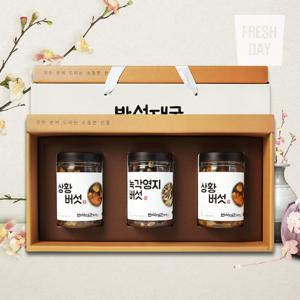 [프레시데이] 국내산 프리미엄 상황버섯 녹각영지버섯 선물세트 3호