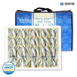 [한림수협] 제주풍 제주굴비 500g x 3팩 30미 (10미/1팩) 선물세트