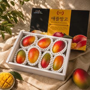 현가원 서귀포 애플망고 선물세트3kg 7-8과 (선물포장)