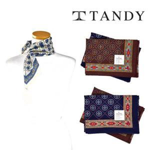[탠디] TANDY 디노 손수건 스카프 케이스동봉