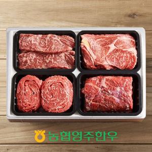 [농협영주한우]1++ 로스정육모듬 한판 9호 / 총 1,2kg (등심,채끝,불고기,양지)