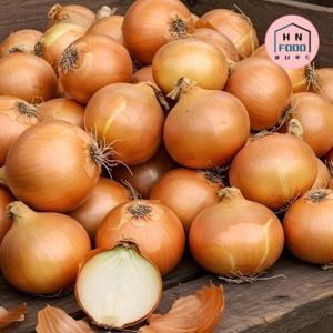 국내산 산지직송 햇양파 5kg 소(장아찌용)