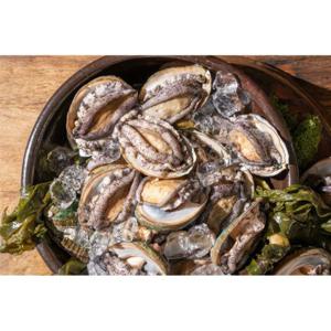 [산지직송] 완도 활전복 왕특대 1.56kg 13미  (미당 120g) / 출고 당일 포장