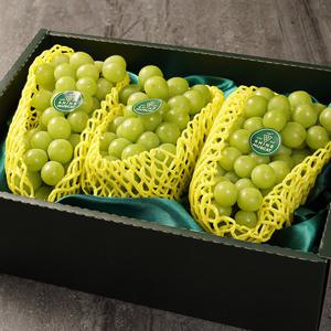 [보자기동봉][세원팜스] 고당도 샤인머스캣 2.3kg 3수 선물세트