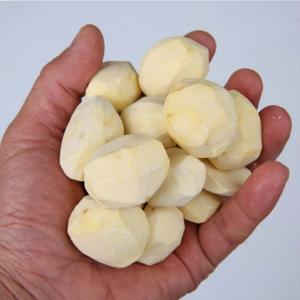 공주 햇밤 생 깐밤 250g 1팩 산지직송