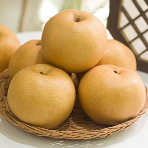 특품 나주 배 5kg 7-15과 내외