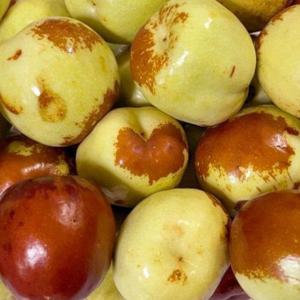 갤러리아_프리미엄 사과대추 특 1kg