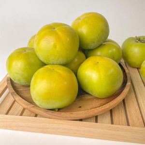 태추단감 대과 2kg (10과 내외)