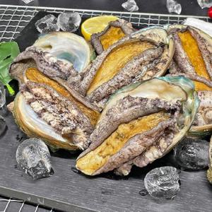 산소포장 완도 특대왕 활 전복 1kg