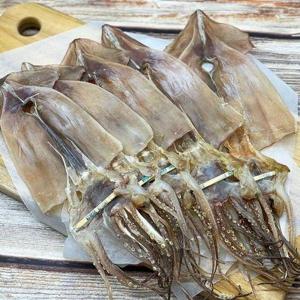 [기타]원양산 건조 마른 오징어 중형 5미 250g