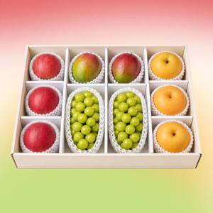 26년 추석 혼합과일 선물세트 6종(사과3과,배3과,샤인머스캣2수,애플망고2과)